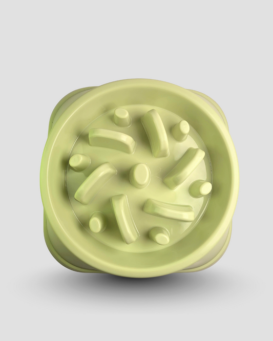 Slow Feeding Bowl