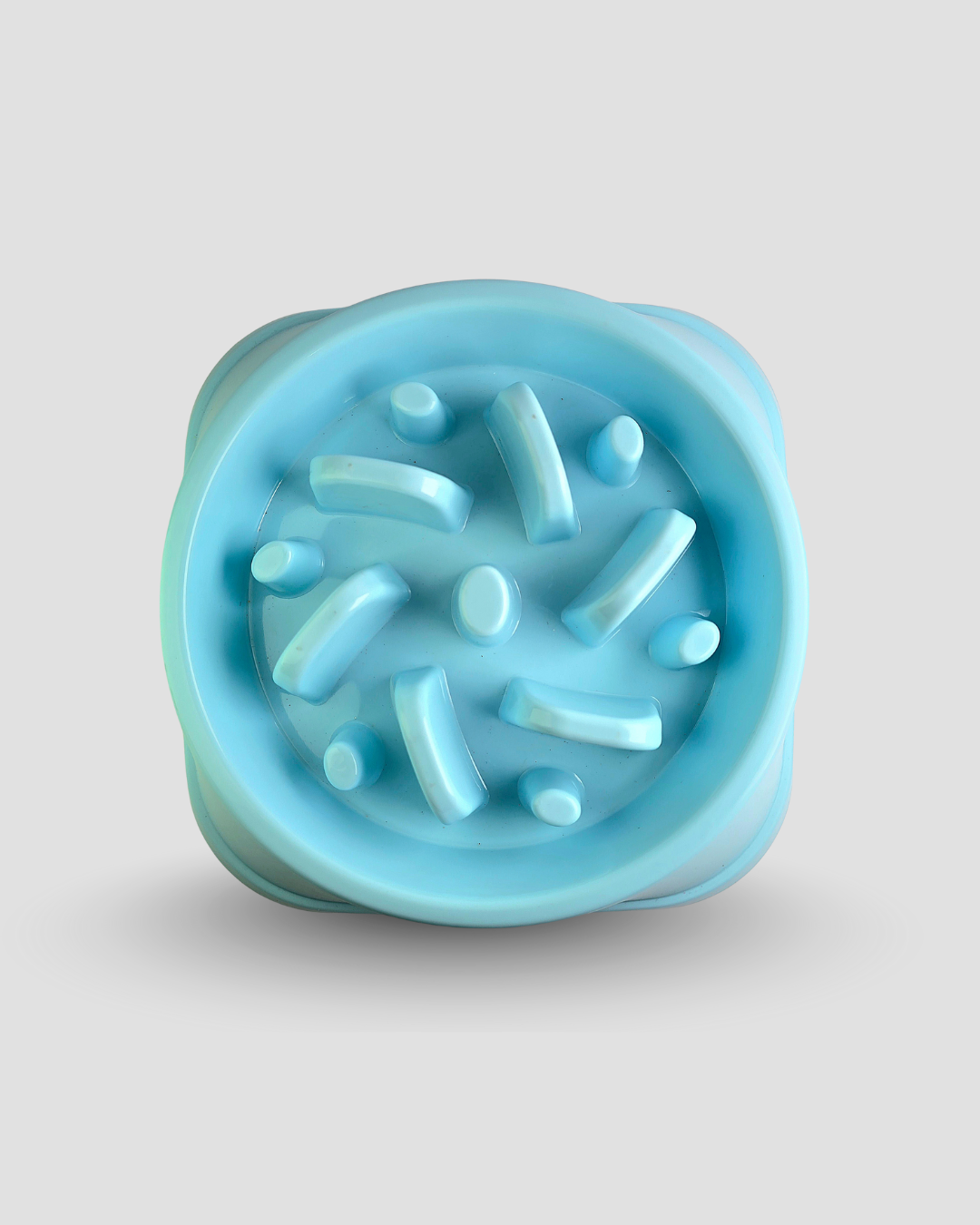 Slow Feeding Bowl