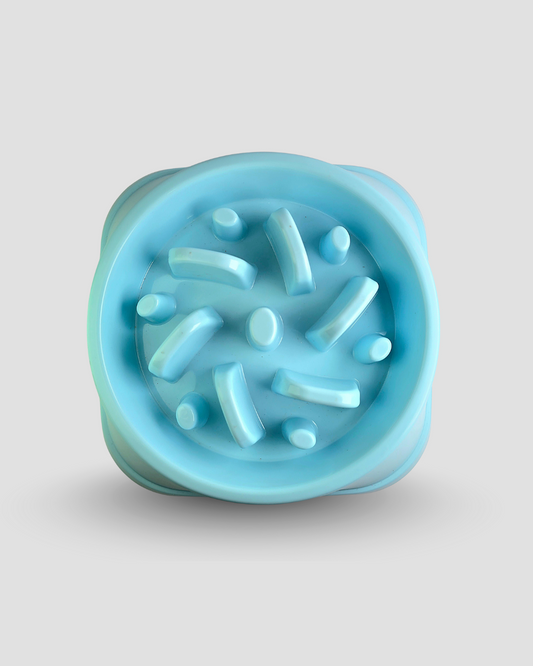 Slow Feeding Bowl