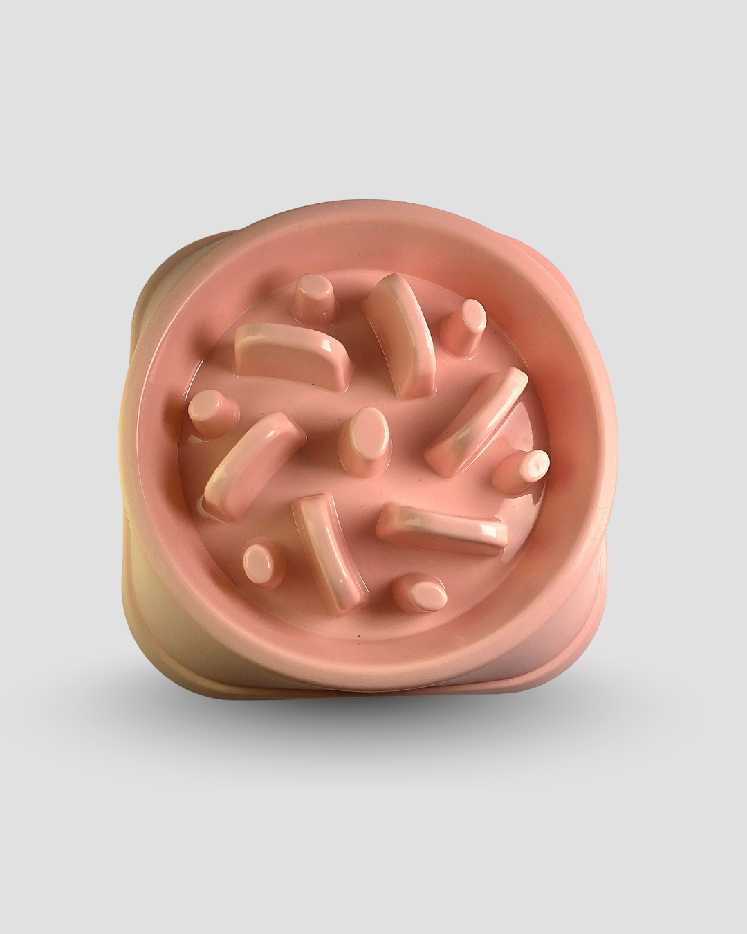 Slow Feeding Bowl