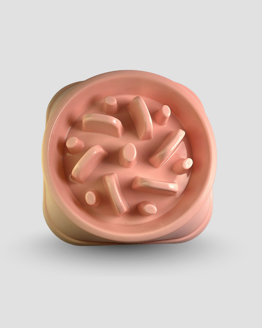 Slow Feeding Bowl