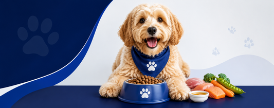Best Nutrition Dog Food: A Complete Guide to Keeping Your Dog Healthy