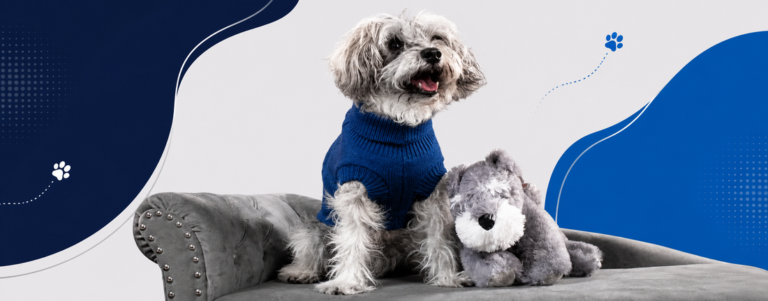 Wooferzz: Healthy Treats for Dogs, Hope for Strays