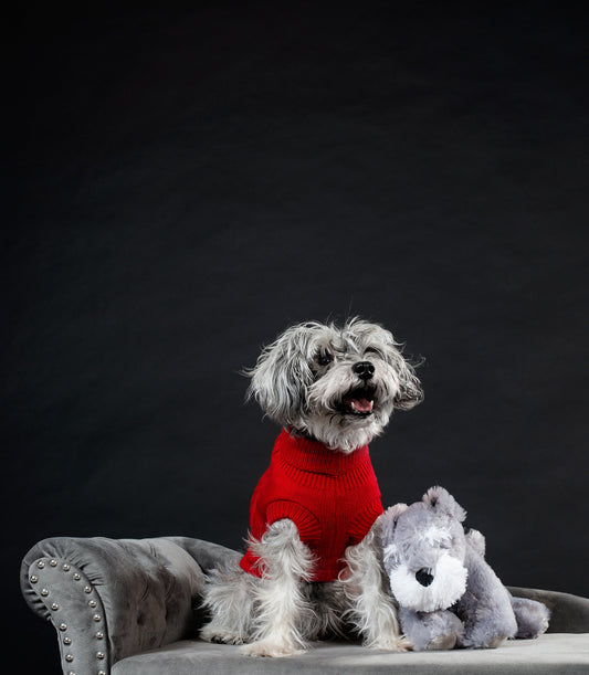 Wooferzz: Healthy Treats for Dogs, Hope for Strays