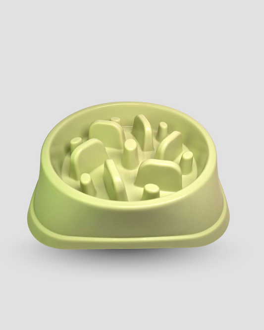 Slow Feeding Bowl