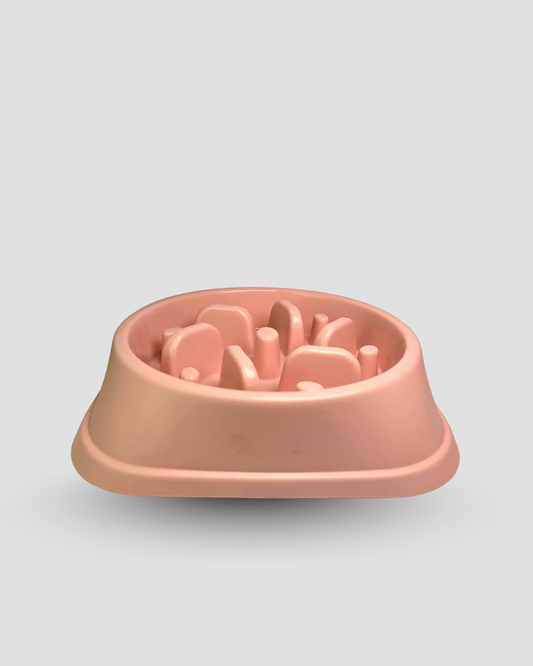 Slow Feeding Bowl