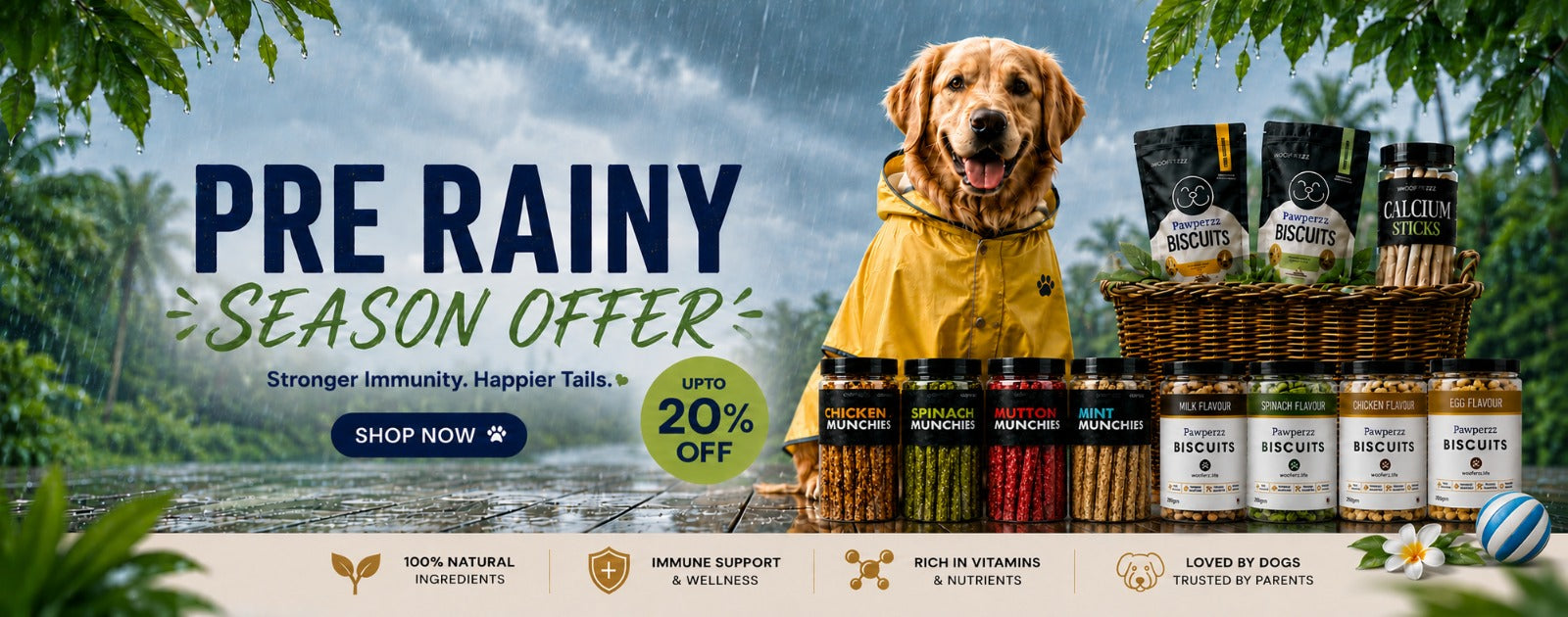 Dog in a raincoat with dog food packages, set against a natural background with text about a pre rainy season offer.